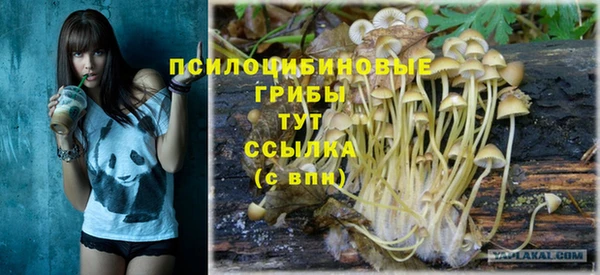 прущая мука Бородино