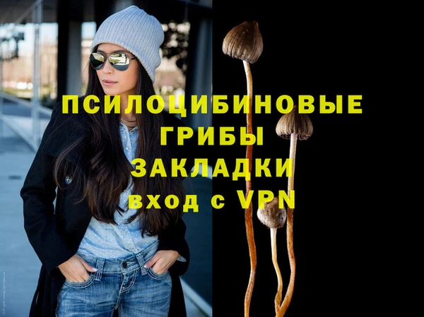 прущая мука Бородино
