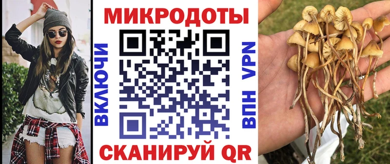 сколько стоит Северодвинск Псилоцибиновые грибы ЛСД